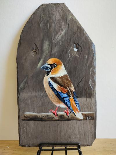 Appelvink